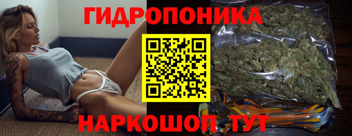 МАРИХУАНА конопля Тобольск